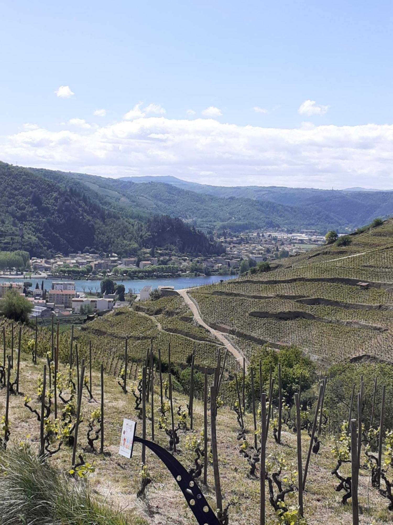 Gite Du Vigneron A La Terrasse Piscine Local Velos ตูร์นง-โซร์-โฮน ภายนอก รูปภาพ